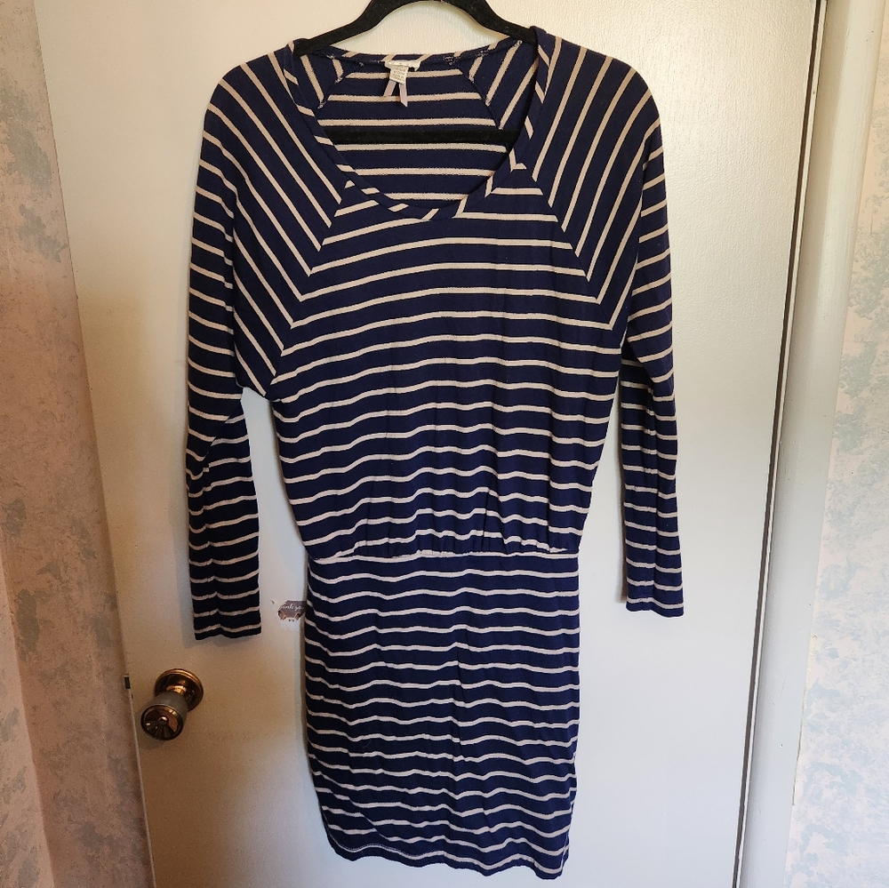 Dynamite Blue and White Sheath Dress with Raglan Sleeves